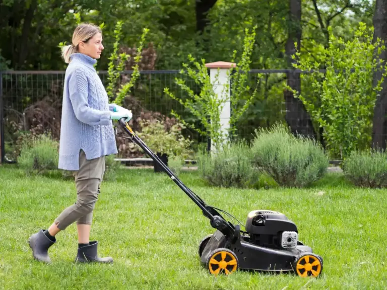 garden power tools backyard
