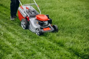 garden tools lawn mower trimmer leaf blower Sweden
