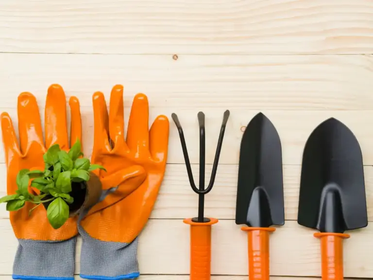 garden tool maintenance tips