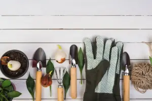 garden tools beginner Sweden