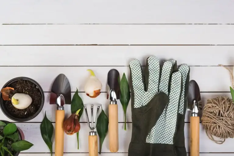 garden tools beginner Sweden