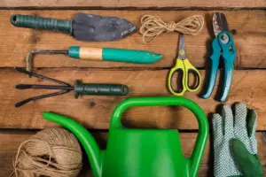 garden tools maintenance