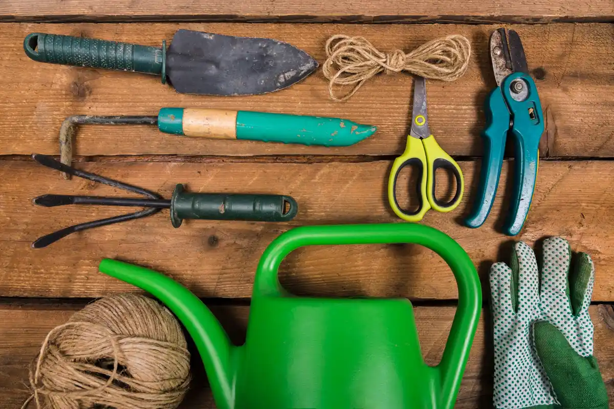 garden tools maintenance