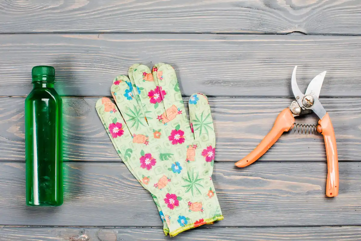 garden tools for weeding and shrub trimming