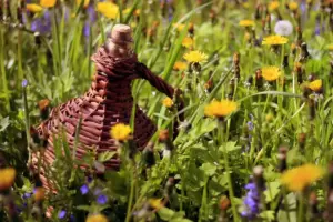 Swedish garden wildlife biodiversity plants flowers