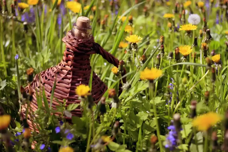 Swedish garden wildlife biodiversity plants flowers