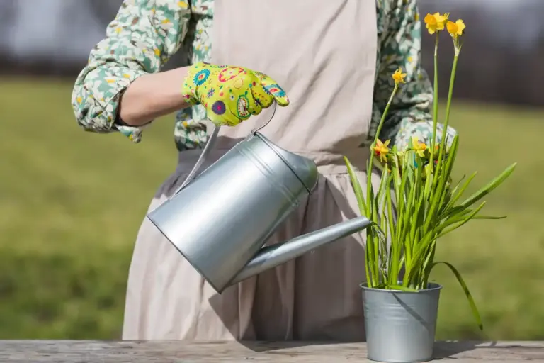 beautiful blooming garden simple gardening tips Sweden