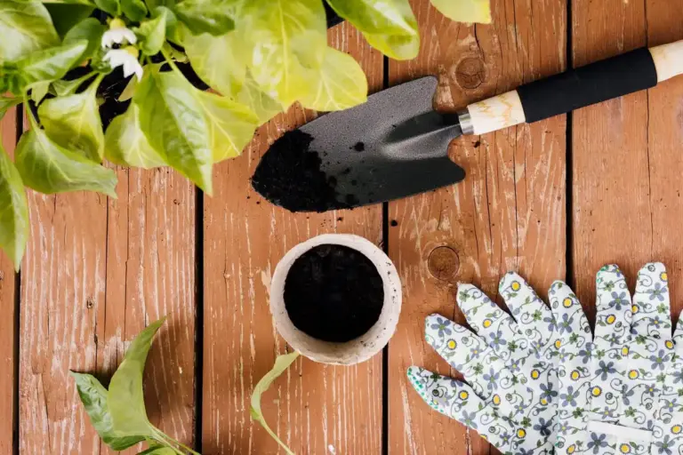 natural organic fertilizers garden plants