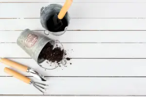 garden compost yard soil nutrients