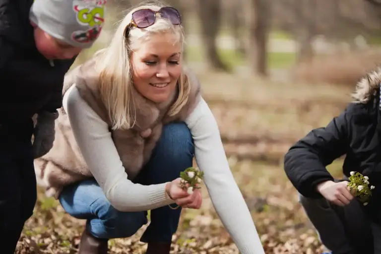 garden compost mistakes Sweden