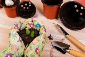 homemade compost for plants
