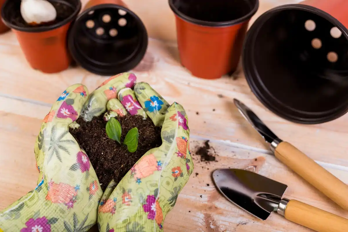 homemade compost for plants