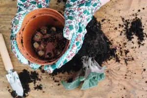home composting garden rich soil