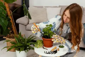 home composting garden plants