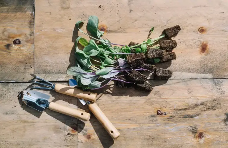 garden composting tips Sweden