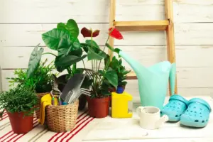 Swedish garden plants and decorations cozy backyard