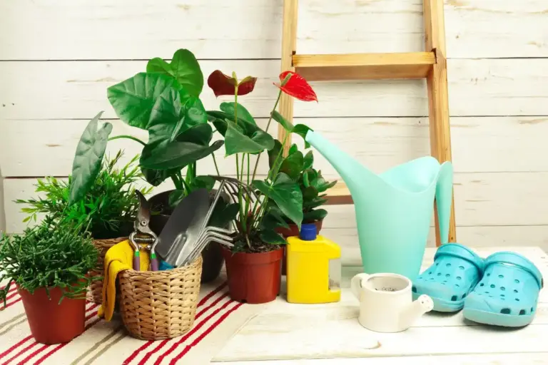 Swedish garden plants and decorations cozy backyard