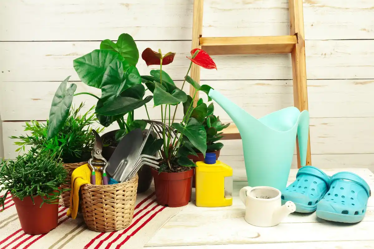 Swedish garden plants and decorations cozy backyard
