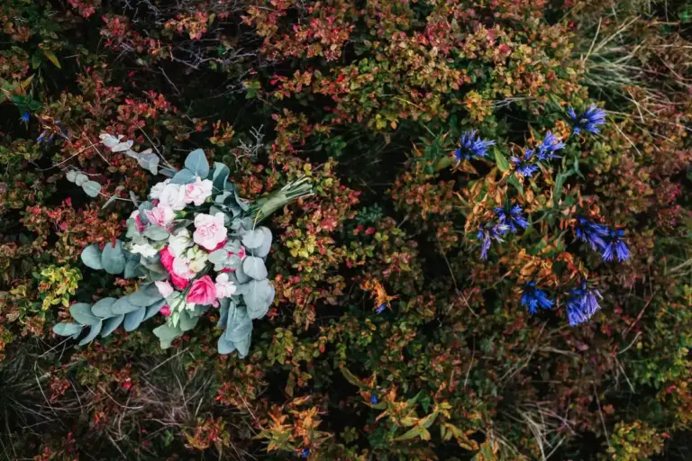 colorful Swedish garden plants outdoor