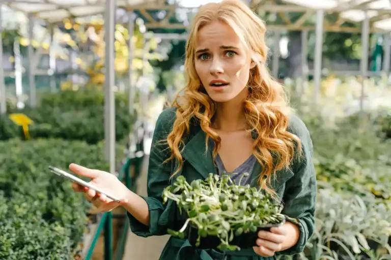 Swedish garden growth problems and solutions