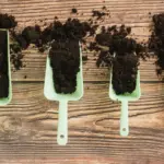 gardening soil aeration shoveling plant roots