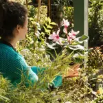 lush garden without maintenance