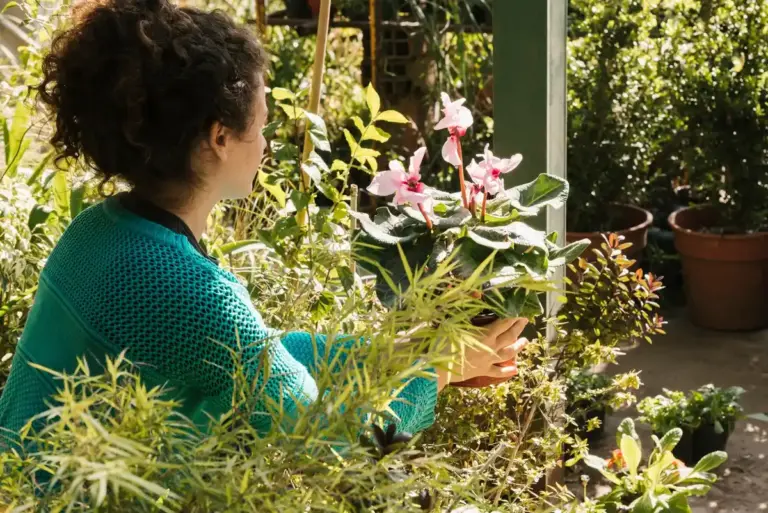 lush garden without maintenance