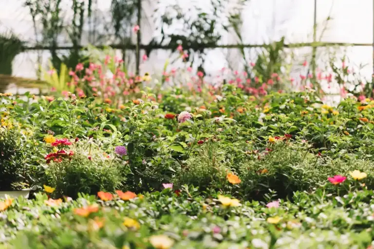 lush Swedish garden spring plants