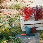 Swedish garden design backyard plants sunlight soil watering system