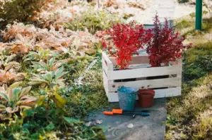 Swedish garden design backyard plants sunlight soil watering system