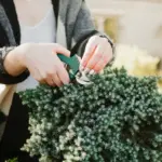 Swedish garden landscaping tips