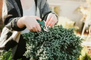 Swedish garden landscaping tips