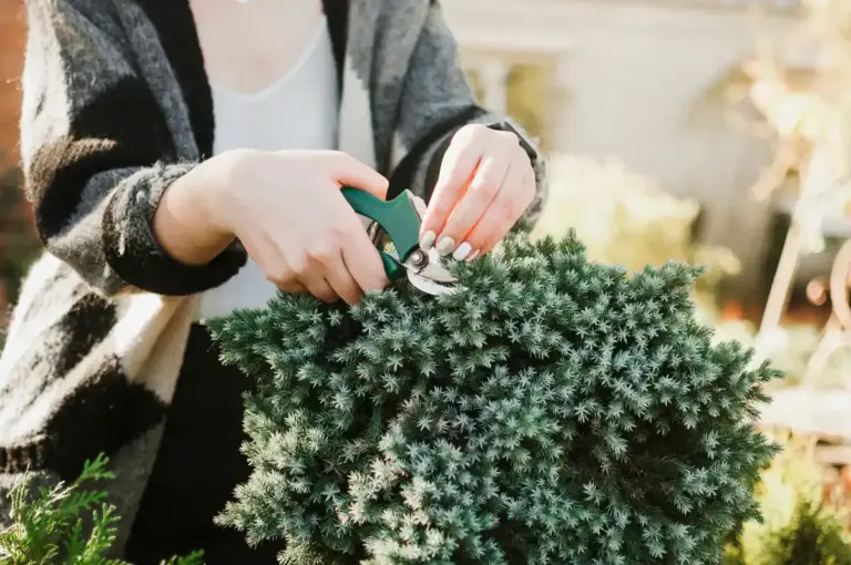 Swedish garden landscaping tips