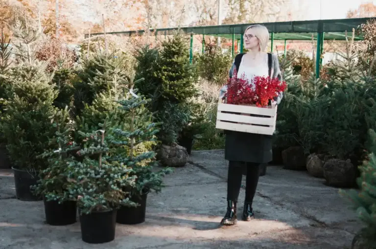 easy low maintenance garden plants Sweden