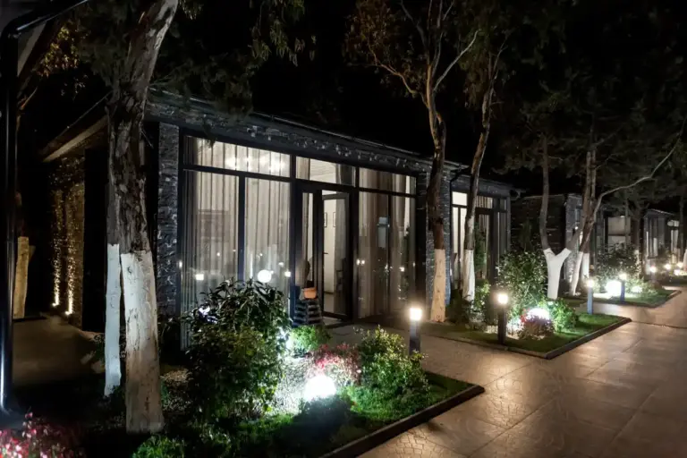 cozy outdoor patio lighting plants summer