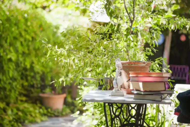 swedish garden green oasis plants outdoor