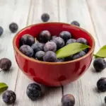 fresh blueberries Swedish forest berries