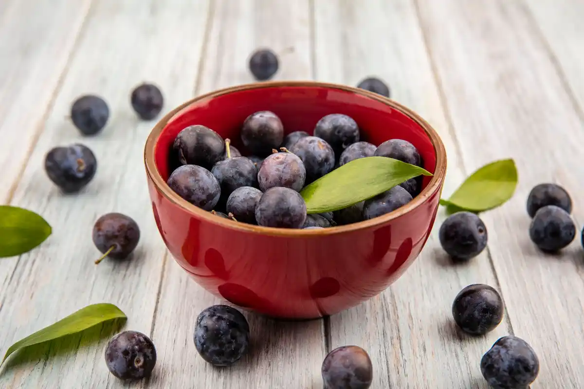 fresh blueberries Swedish forest berries