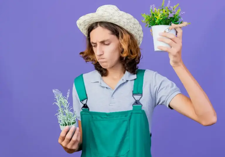 spring garden care mistakes plants