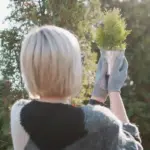 Swedish garden mistakes quick fixes