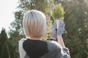 Swedish garden mistakes quick fixes