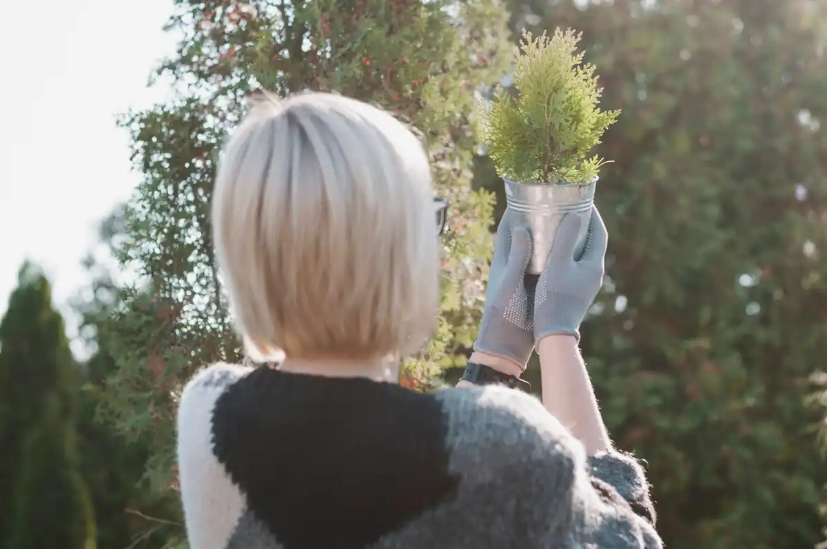 Swedish garden mistakes quick fixes