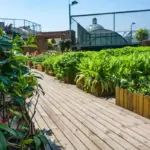 urban small space vegetable garden