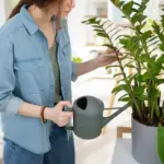 smart plant watering home garden Sweden